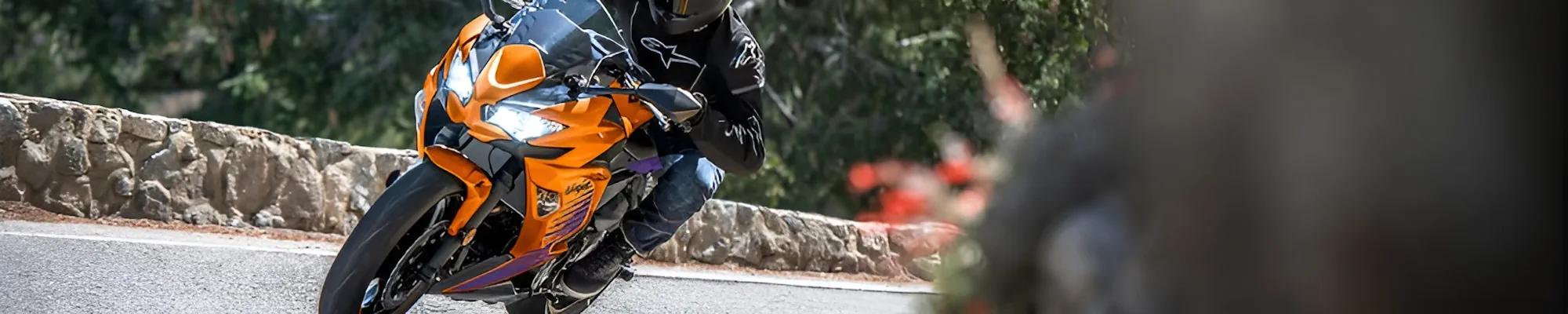 Page Banner Image
