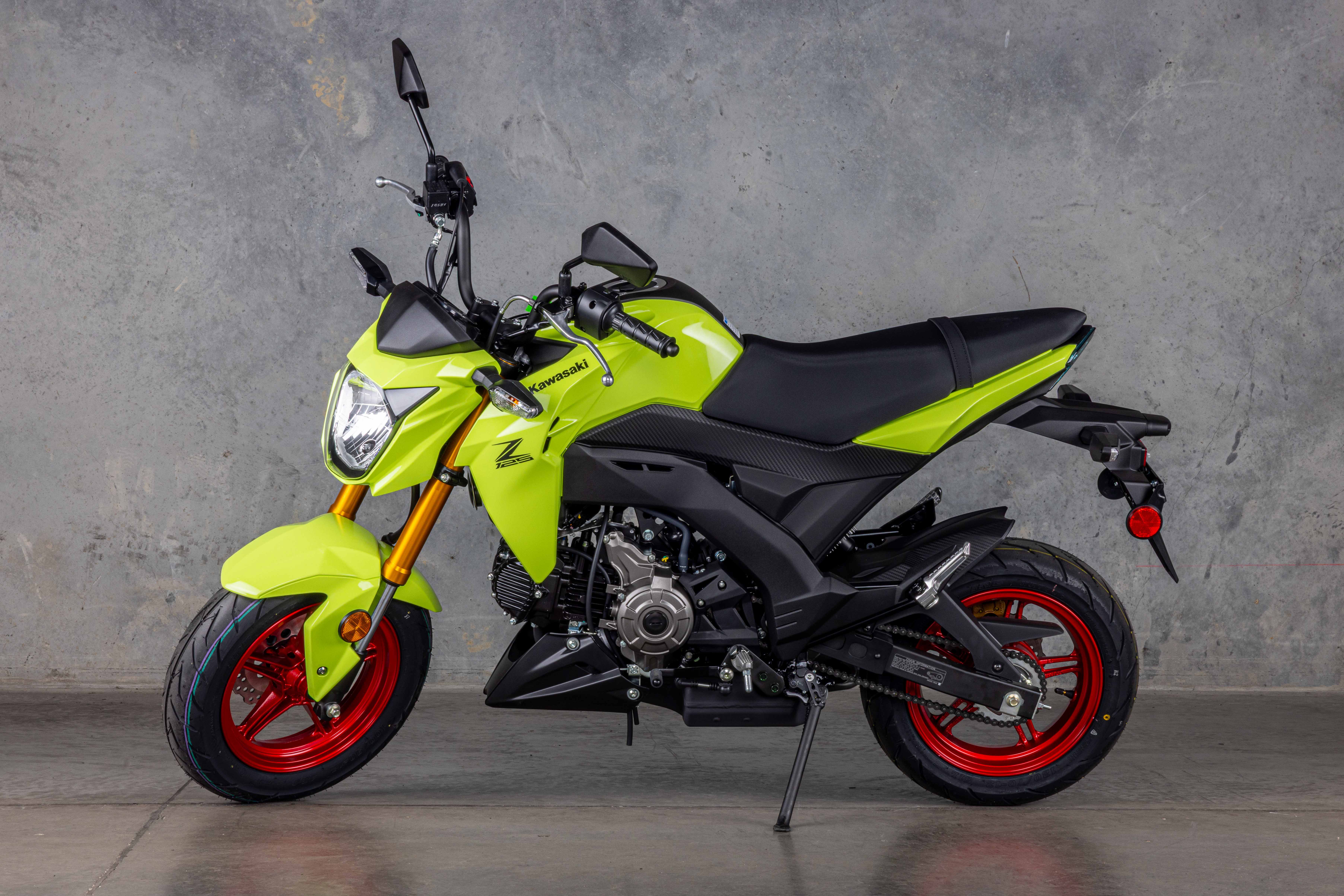 2027 Kawasaki Z125 PRO MOTORCYCLE