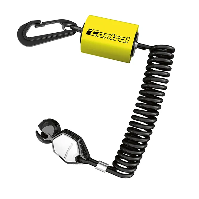 RF D.E.S.S. Key (295100945)
